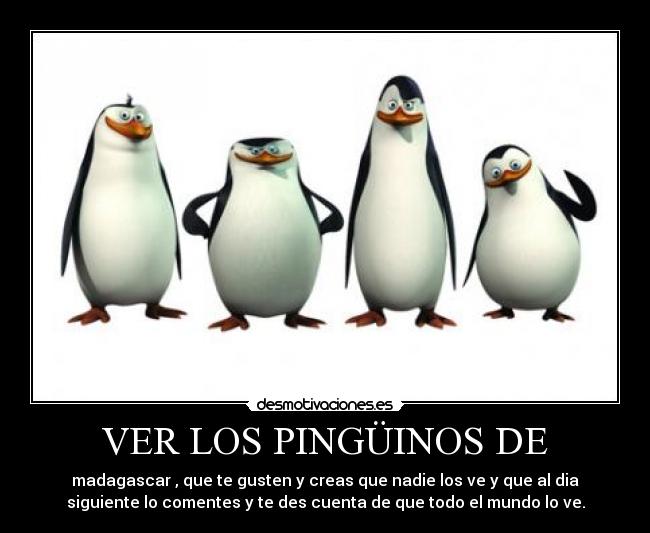 VER LOS PINGÜINOS DE - 
