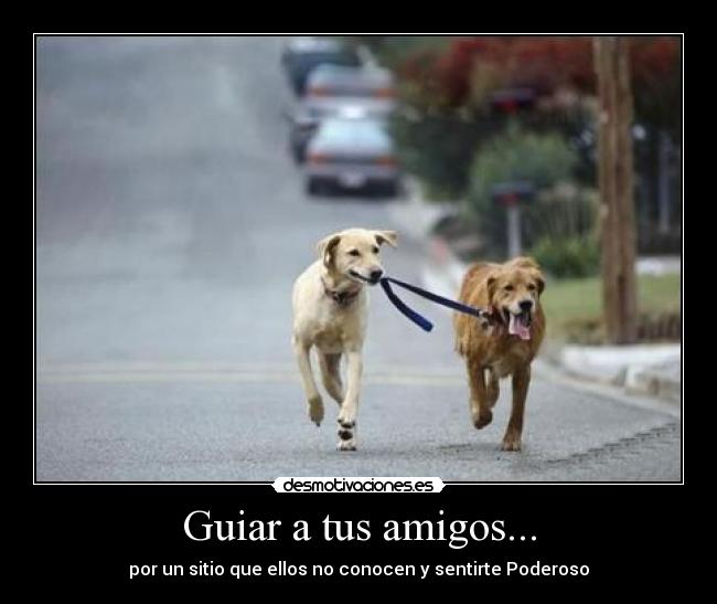 Guiar a tus amigos... - por un sitio que ellos no conocen y sentirte Poderoso