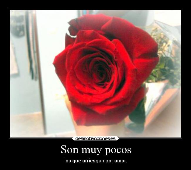 Son muy pocos -