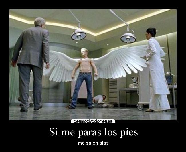 Si me paras los pies - 