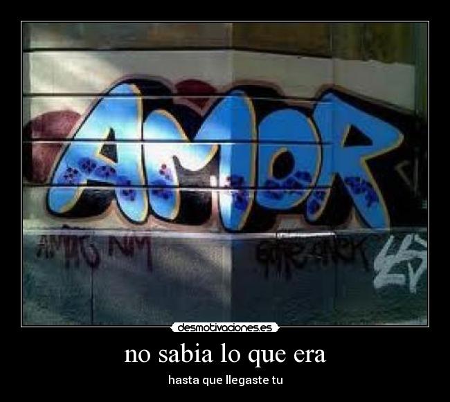 no sabia lo que era - hasta que llegaste tu