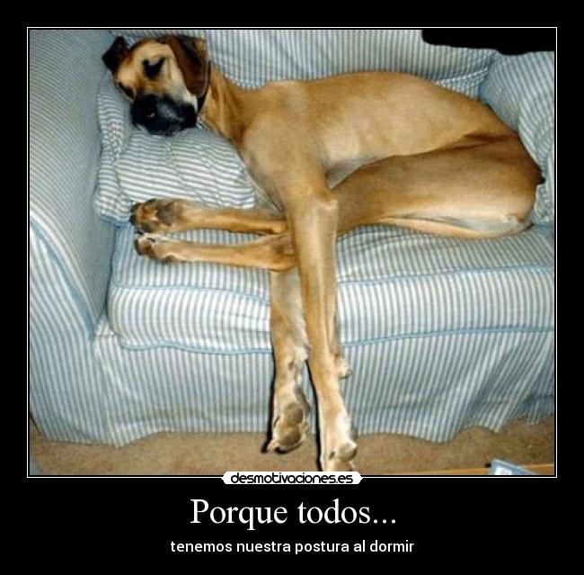 Porque todos... - tenemos nuestra postura al dormir