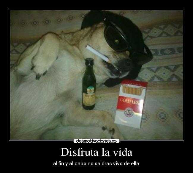 Disfruta la vida - al fin y al cabo no saldras vivo de ella.