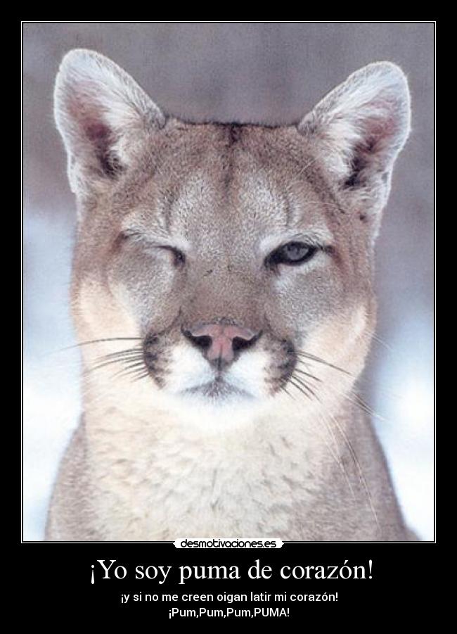 ¡Yo soy puma de corazón! - 