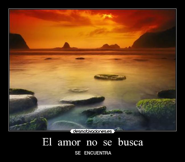 El amor no se busca - SE ENCUENTRA