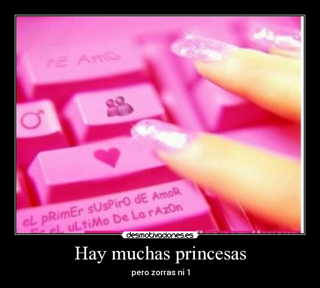 Hay muchas princesas -