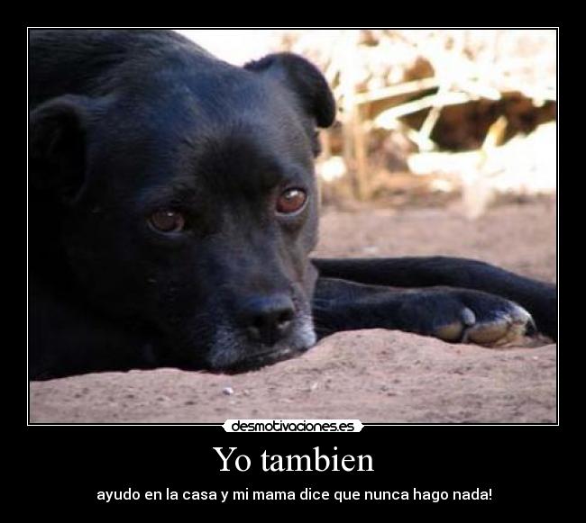 Yo tambien -