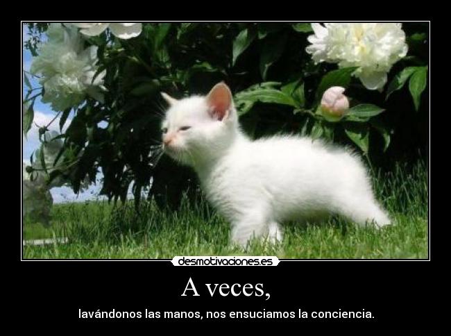 A veces, -