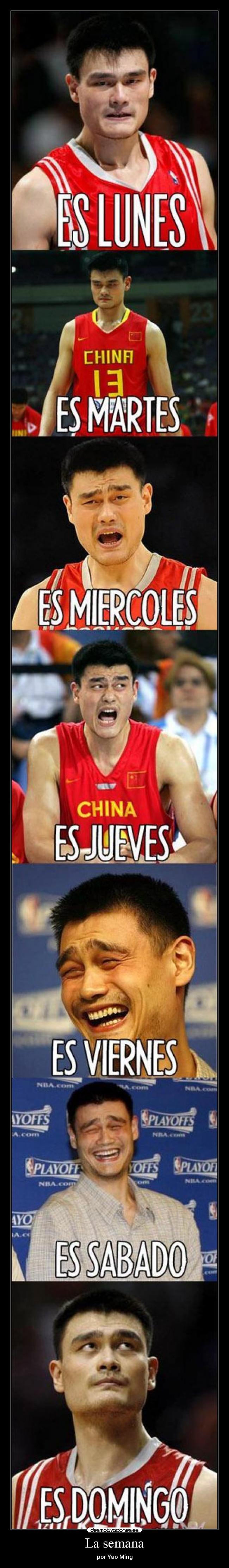 La semana - por Yao Ming