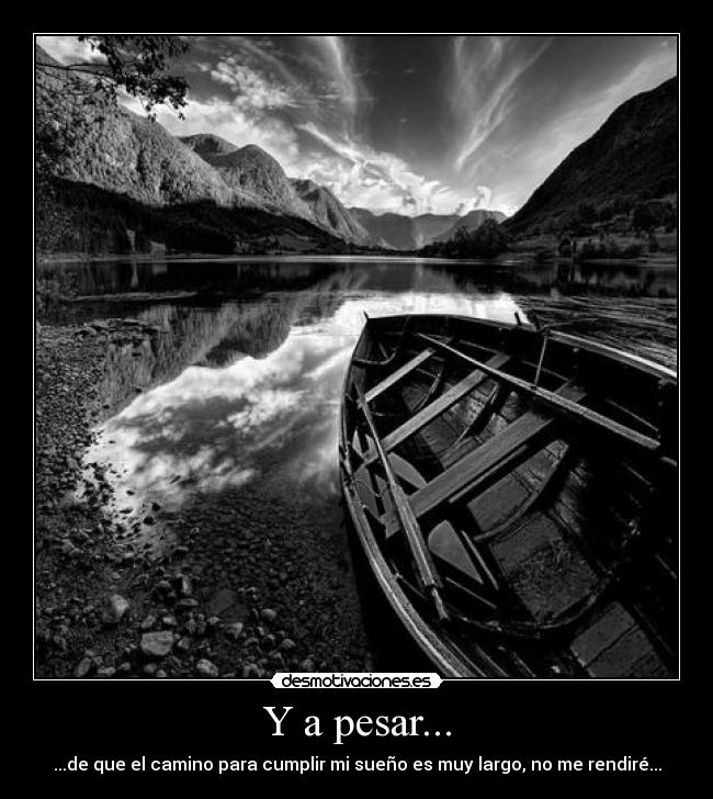 carteles dreadk elclanviral bollicao persigue tus fuin suenosssssssss jaja amor paz desmotivaciones