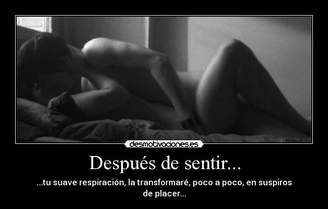 carteles dreadk clanvirus lalalala respirar suspirar reggae amor paz sexo tambien desmotivaciones