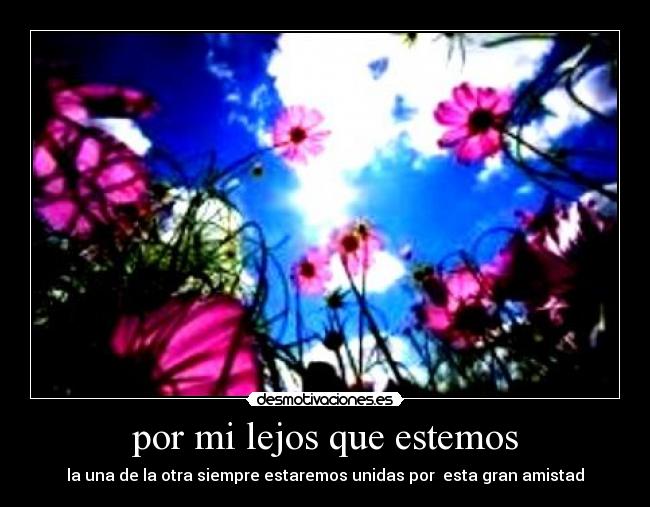 carteles lourdes desmotivaciones