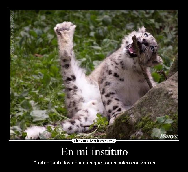 carteles lanluna5 desmotivaciones