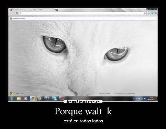 Porque walt_k -