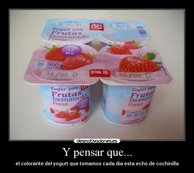 Y pensar que... - el colorante del yogurt que tomamos cada dia esta echo de cochinilla