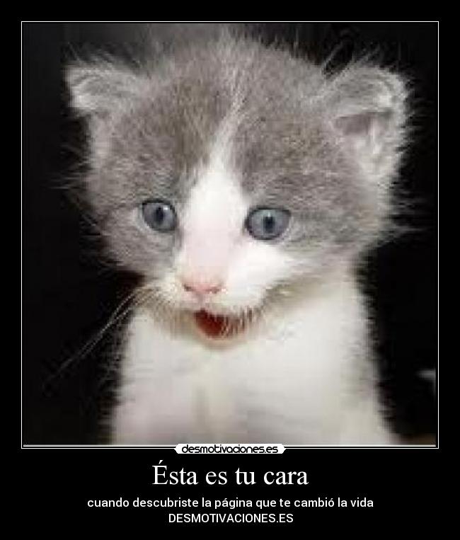 Ésta es tu cara - 