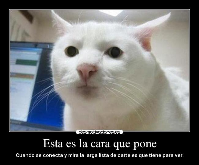 Esta es la cara que pone -