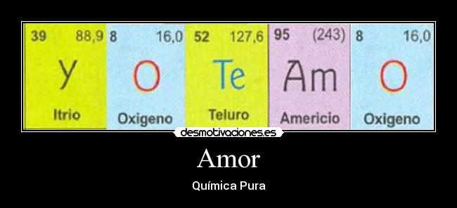 Amor - 