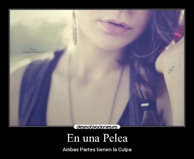 carteles pelea partes culpa ee lalala desmotivaciones