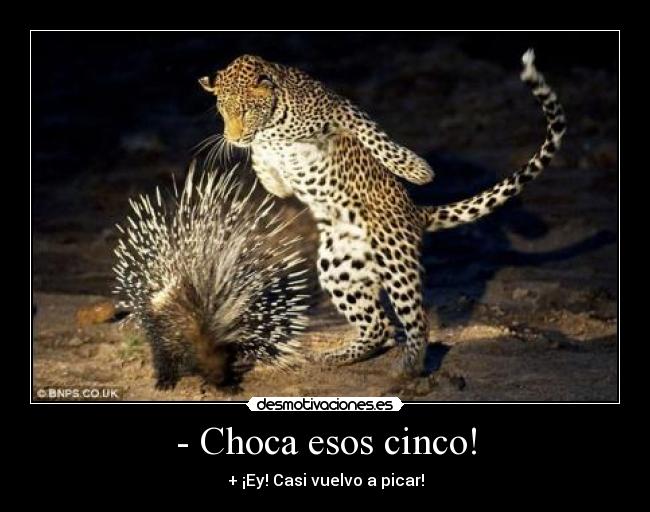 - Choca esos cinco! - 