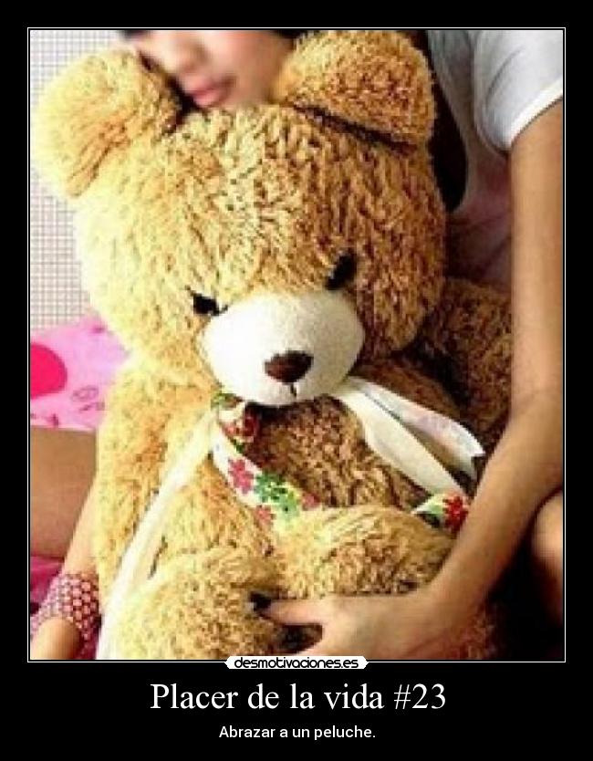 Placer de la vida #23 -