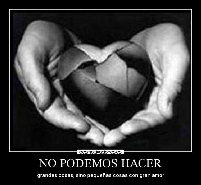 NO PODEMOS HACER - 