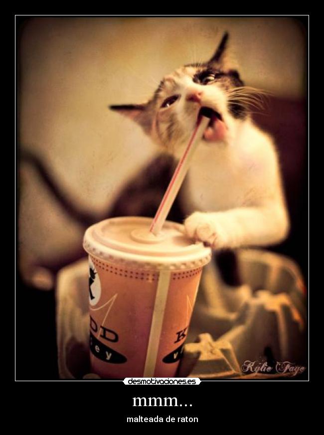 mmm... - malteada de raton