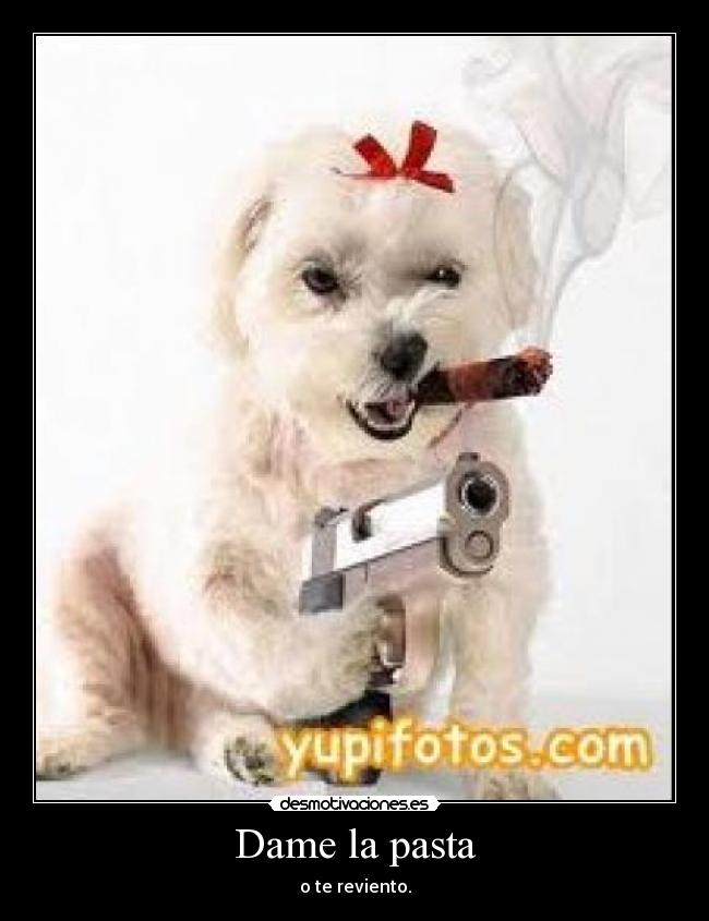 Dame la pasta - o te reviento.