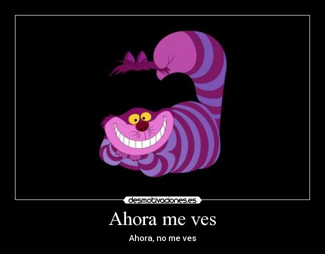 Ahora me ves - Ahora, no me ves