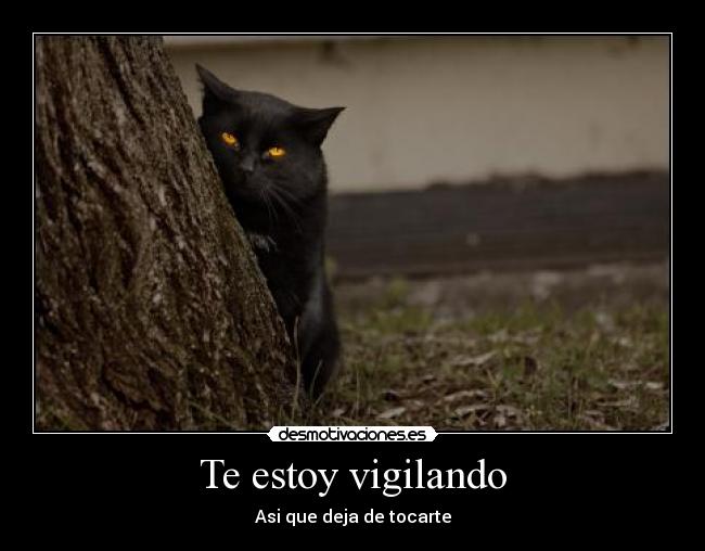 Te estoy vigilando - Asi que deja de tocarte