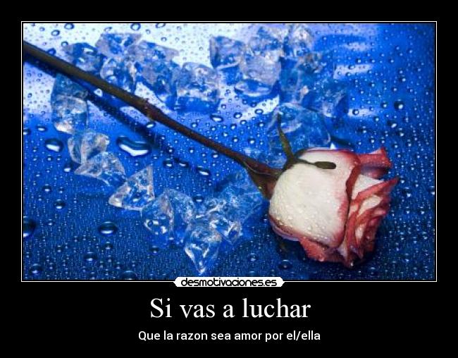 Si vas a luchar - Que la razon sea amor por el/ella
