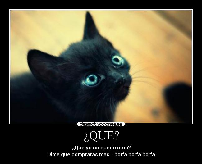 ¿QUE? - ¿Que ya no queda atun?
Dime que compraras mas... porfa porfa porfa