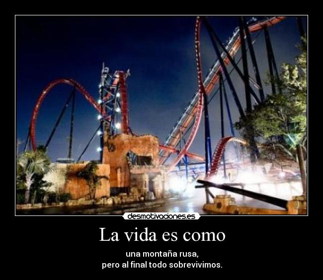 carteles vida vida como montana rusa sobrevivimos amaiuski desmotivaciones