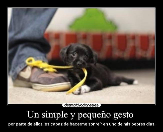 Un simple y pequeño gesto - por parte de ellos, es capaz de hacerme sonreír en uno de mis peores días.