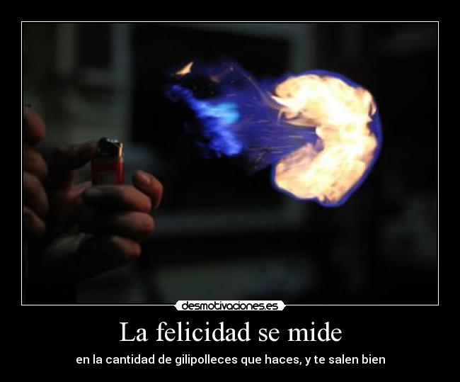 La felicidad se mide - en la cantidad de gilipolleces que haces, y te salen bien