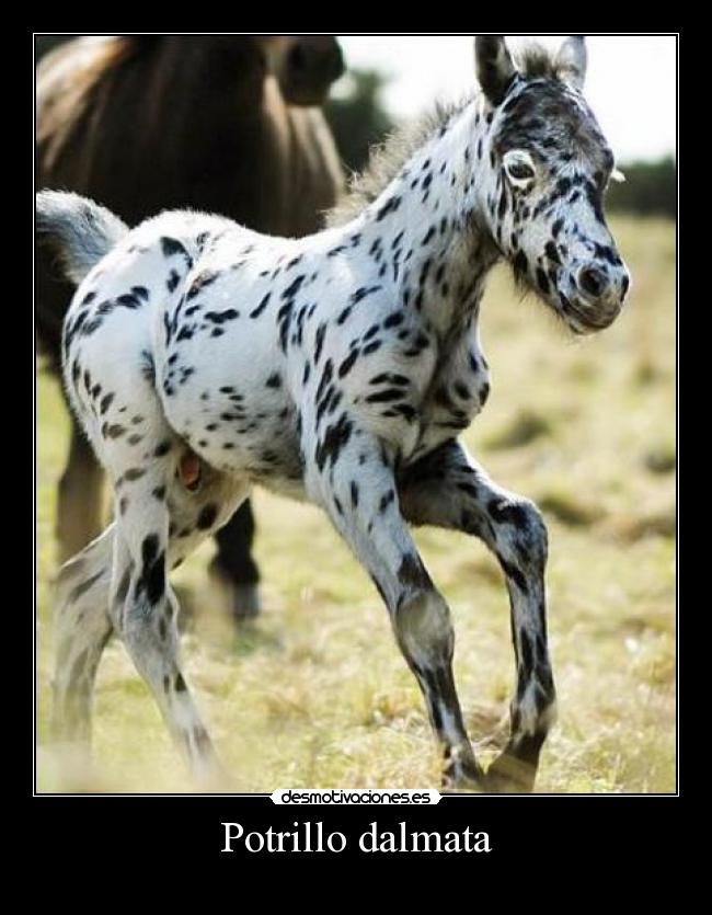 carteles wefw desmotivaciones