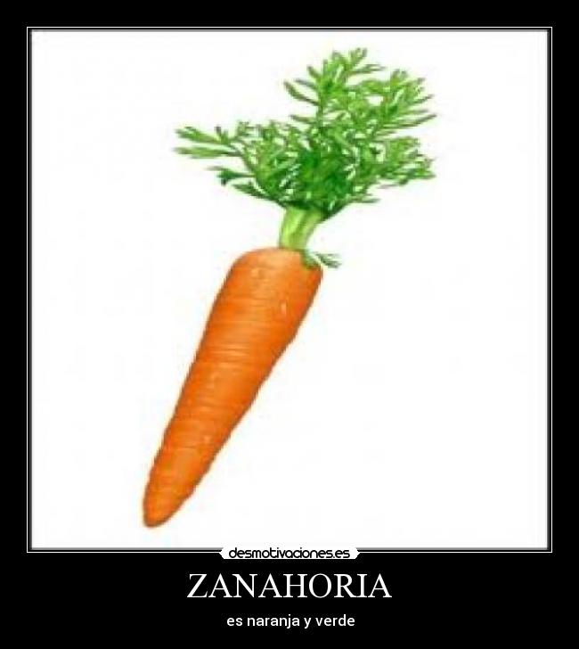 ZANAHORIA - es naranja y verde