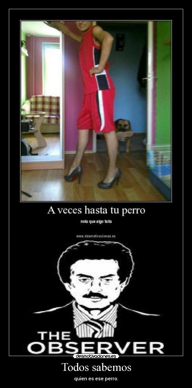 Todos sabemos - quien es ese perro.