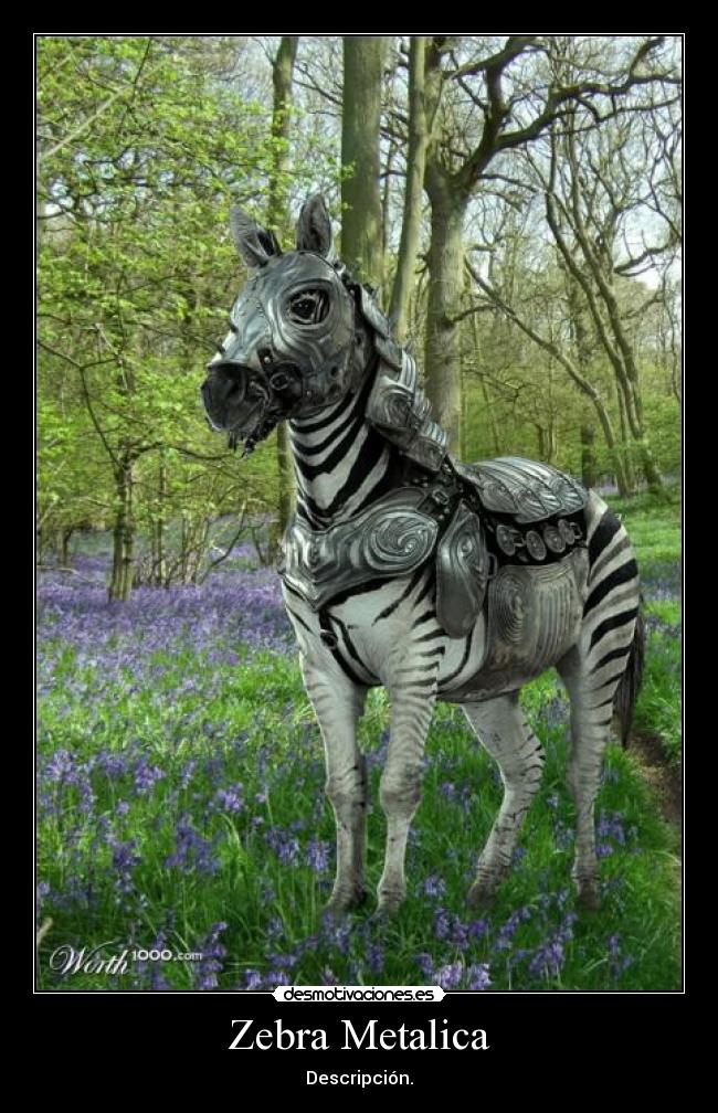 Zebra Metalica - Descripción.