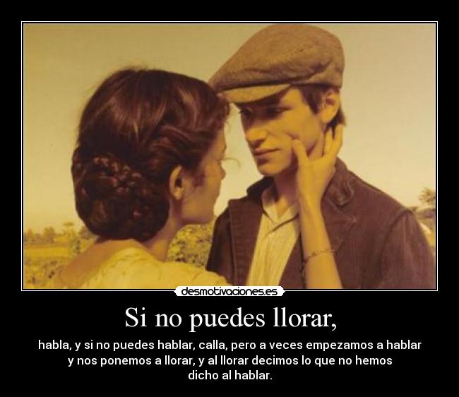 carteles llorar largo domingo noviazgo llorar hablar callar decir posh desmotivaciones