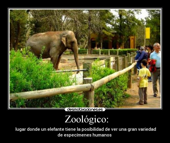 carteles zoo desmotivaciones