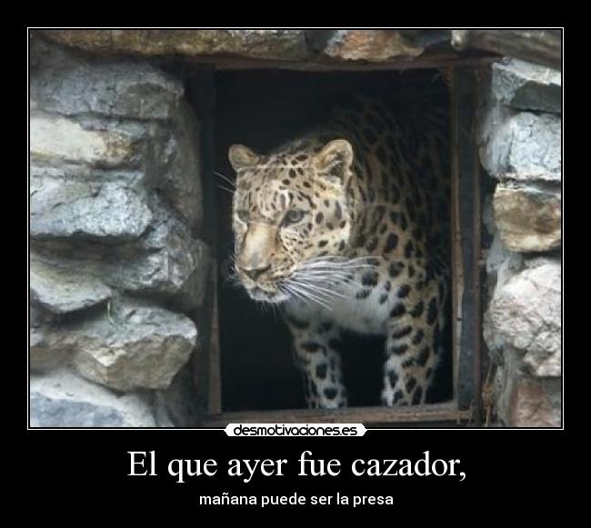 El que ayer fue cazador, - mañana puede ser la presa