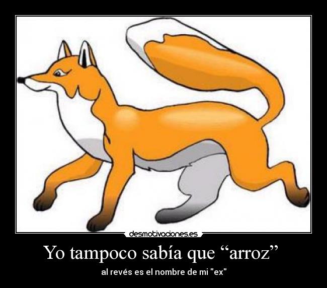 Yo tampoco sabía que “arroz” -