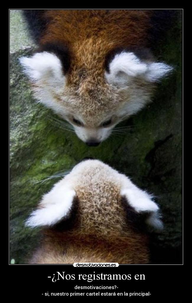 -¿Nos registramos en - desmotivaciones?-
- si, nuestro primer cartel estará en la principal-