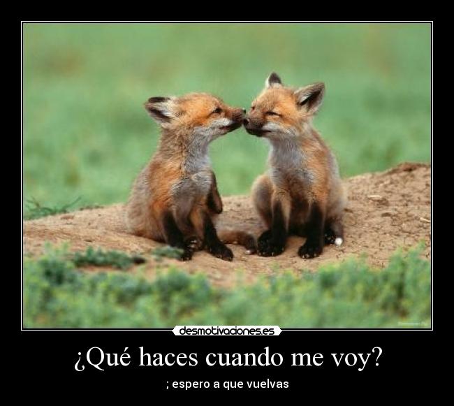 ¿Qué haces cuando me voy? -
