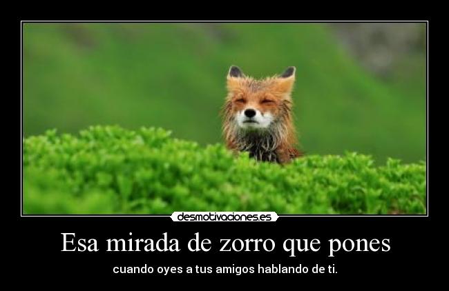 Esa mirada de zorro que pones - 