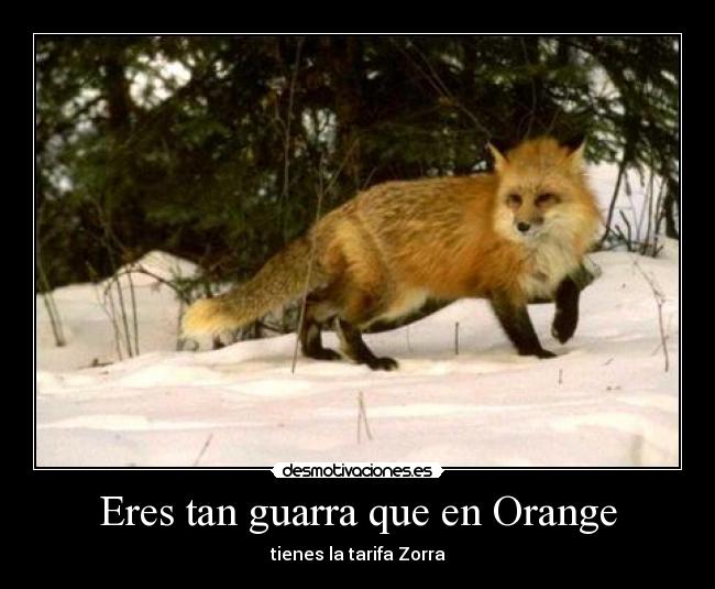 Eres tan guarra que en Orange - 