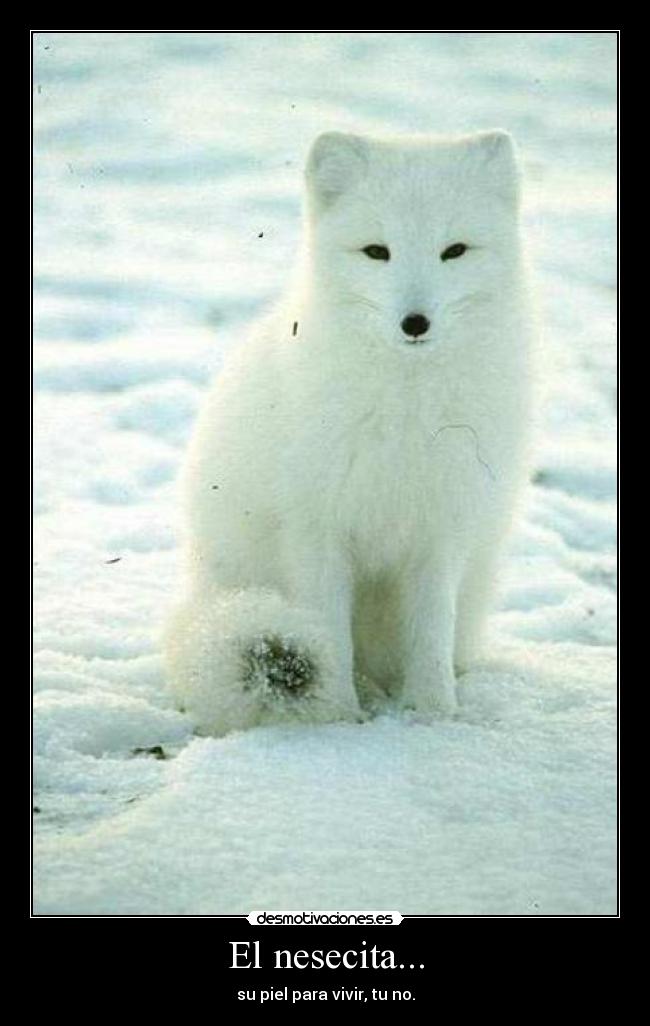 carteles piel desmotivaciones