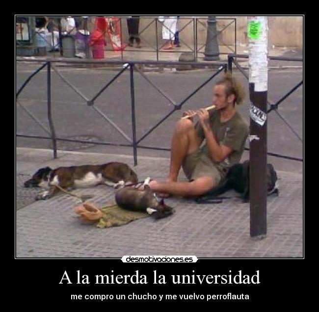 A la mierda la universidad - 