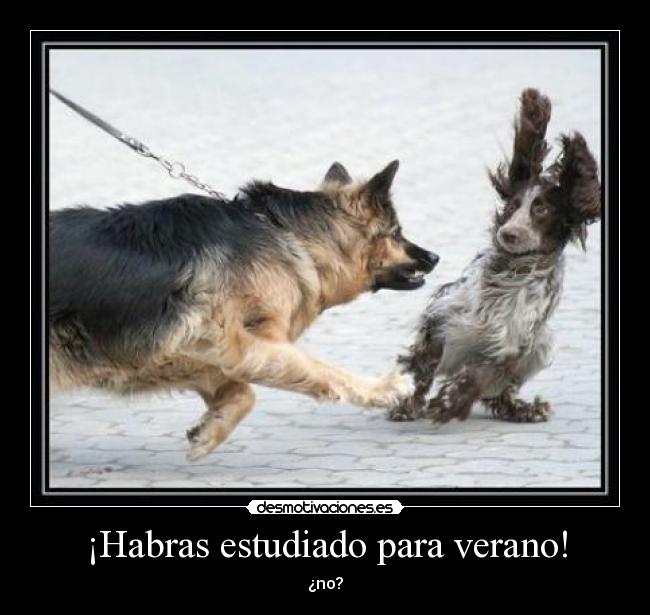 ¡Habras estudiado para verano! - 
